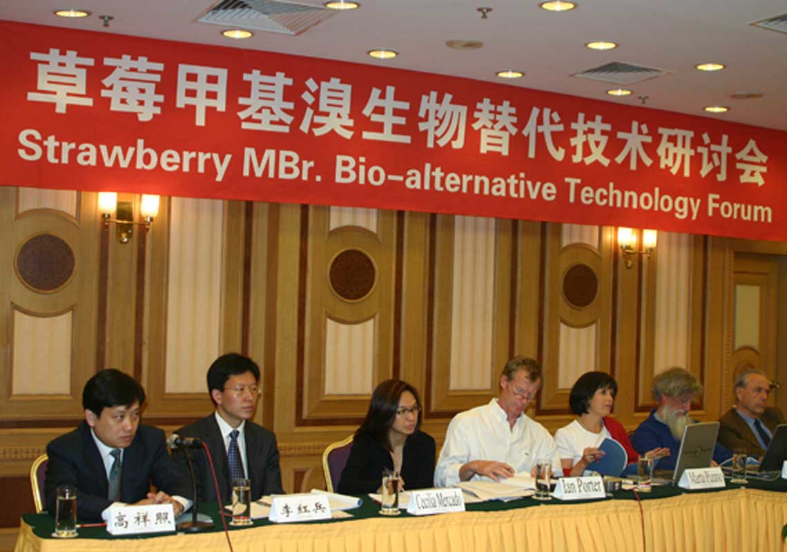 聯合國環(huán)境署、聯合國工發(fā)組織等機構出席了我公司舉行的草莓甲基溴生物替代技術研討會